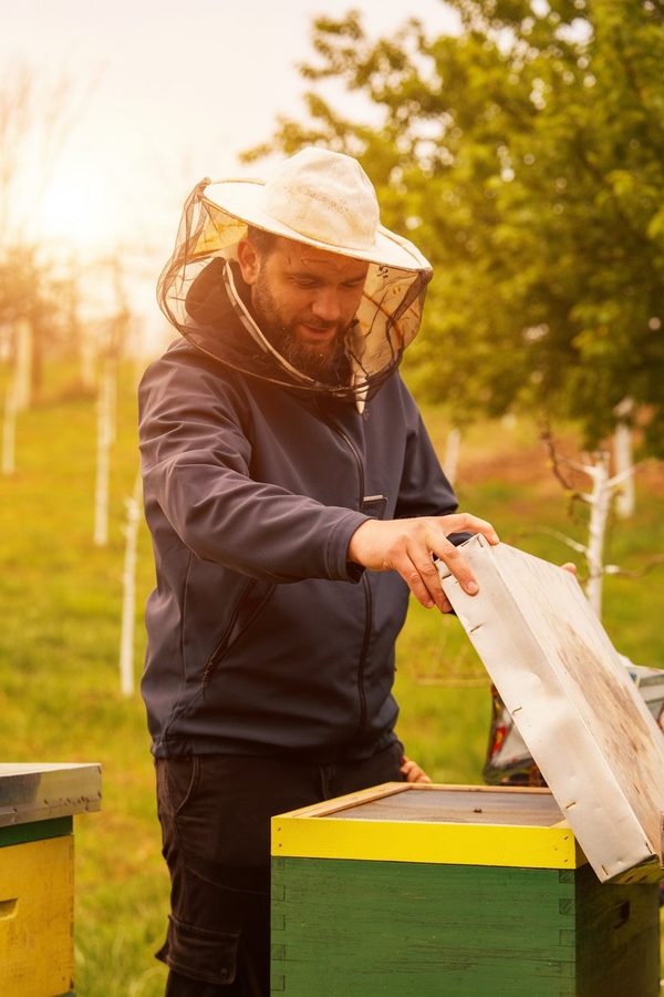 Đurđević Pčelinjak