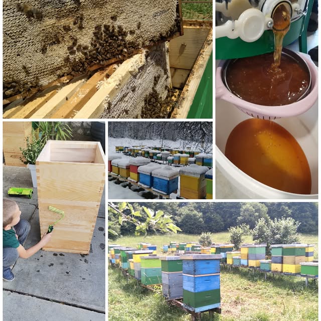 U medu postoje živi enzimi.

🐝U kontaktu s metalnom kašikom ovi enzimi umiru.

🐝Najbolji način jes